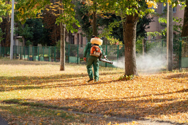 Professional Pest Control in Opelousas, LA